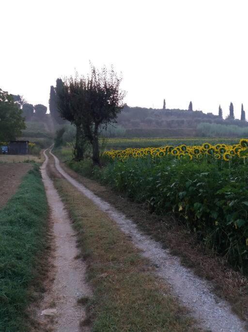 Podere Gian Battaglia Фучеккьо Экстерьер фото