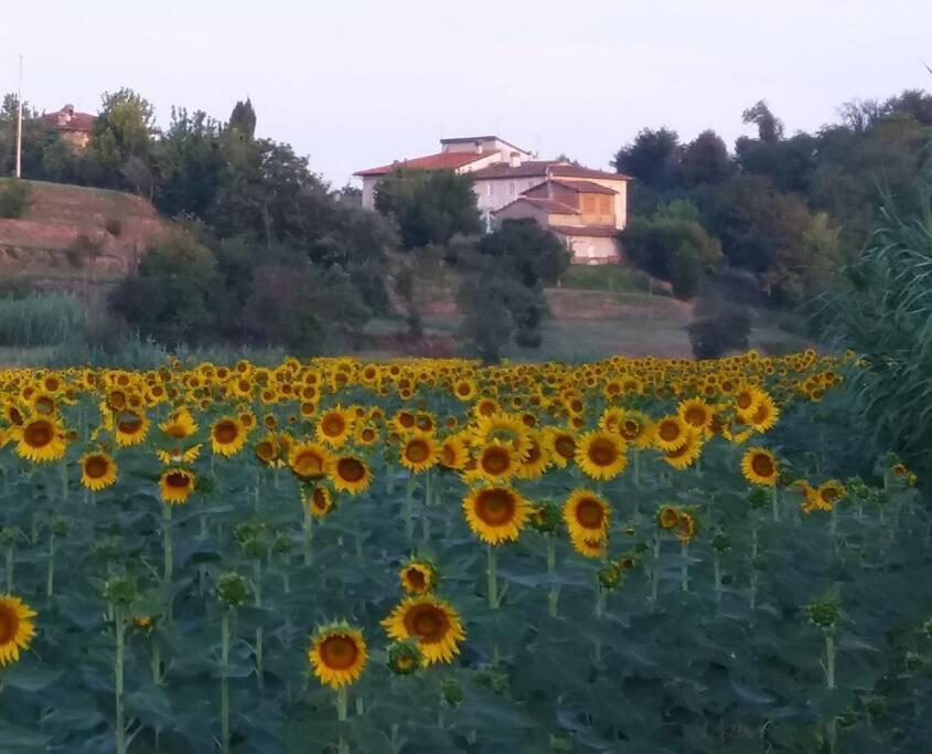Podere Gian Battaglia Фучеккьо Экстерьер фото
