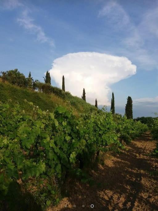 Podere Gian Battaglia Фучеккьо Экстерьер фото