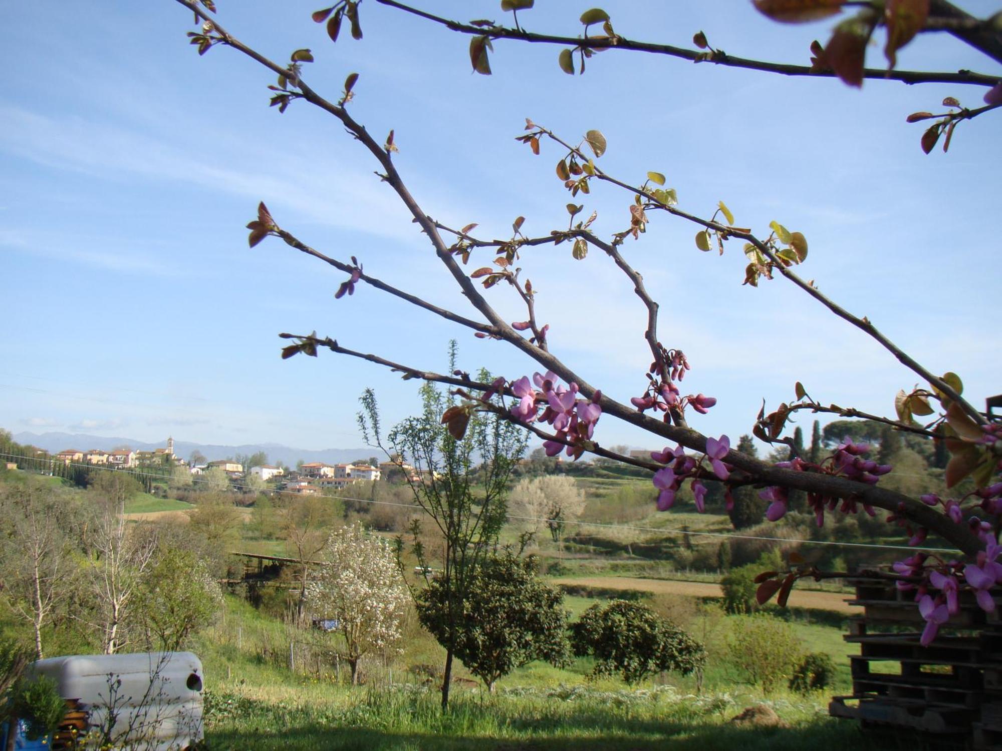 Podere Gian Battaglia Фучеккьо Экстерьер фото